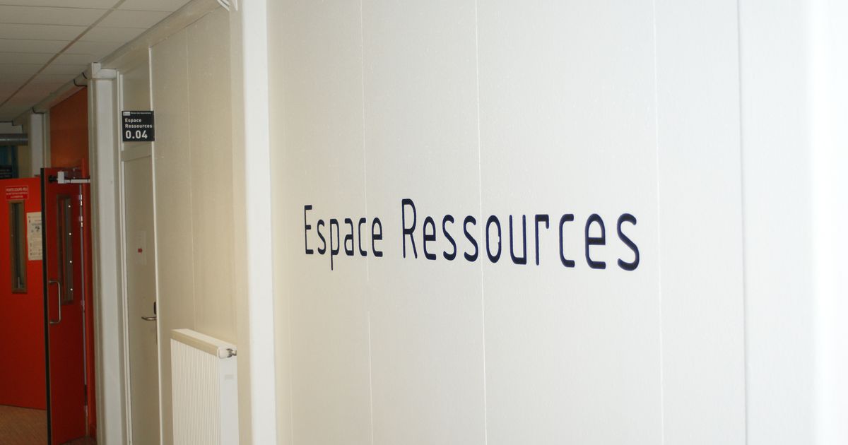 Accompagnement, démarches et conseils